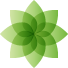 WildBlueTV